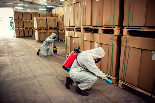 Best Flea Control Services  in Gwinn, MI