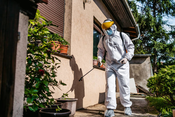 Best Pest Prevention Services  in Gwinn, MI