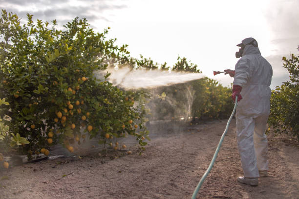 Best Cockroach Control Services  in Gwinn, MI