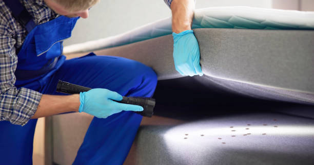 Best Wasp Removal Services  in Gwinn, MI
