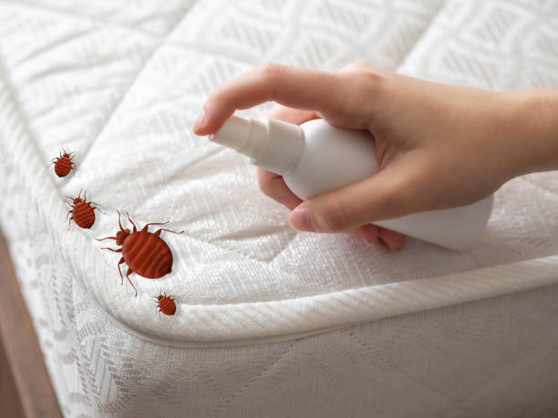 Best Bed Bug Extermination  in Gwinn, MI