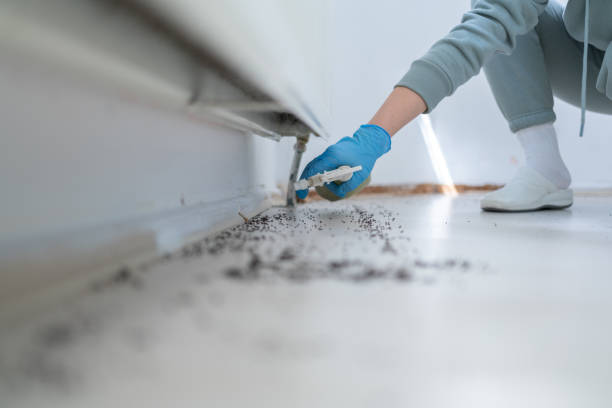 Best Commercial Pest Control Services  in Gwinn, MI