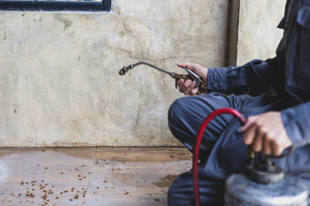 Best Local Pest Control Services  in Gwinn, MI
