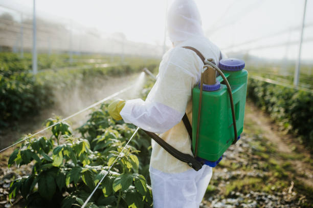 Best Mosquito Control Services  in Gwinn, MI